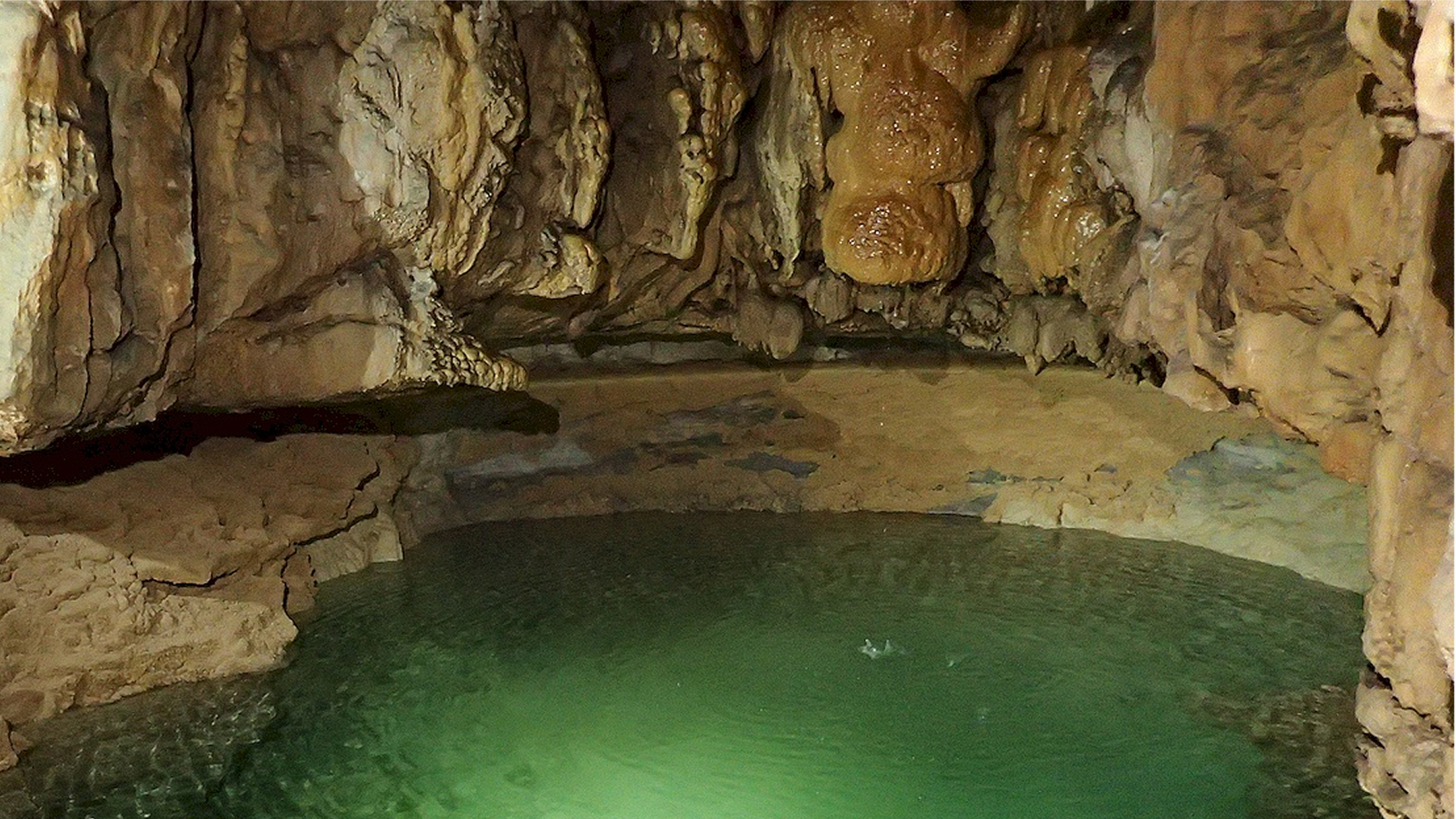 Aven du Camelié